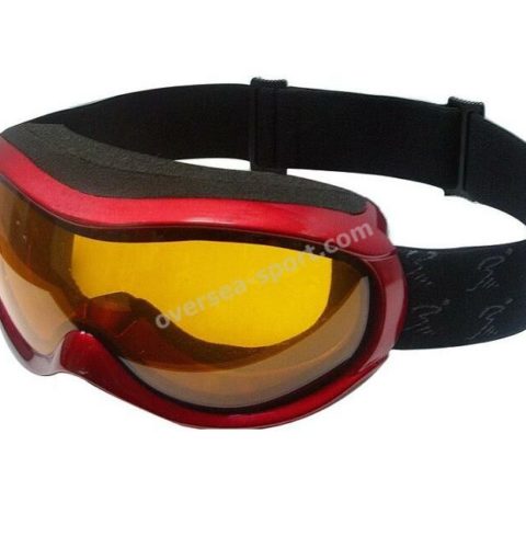 snow goggle