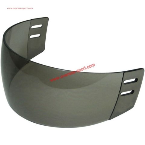 hockey visor