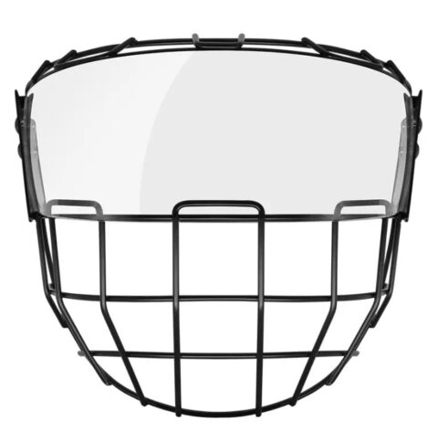 hockey shield